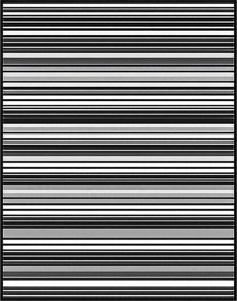 Modern Black White Gray Stripes Rug