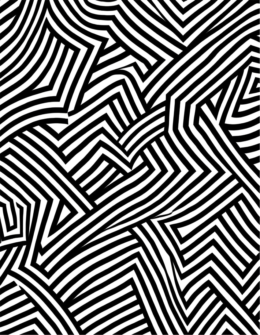 Striking Black and White Geometric Maze Rug
