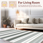 Thin Lined Graduated Stripe Pattern Rug