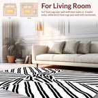 Black White Abstract Stripe Design Rug