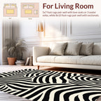 Abstract Black White Zebra Stripe Rug