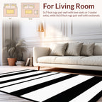 Bold Black and White Stripe Design Rug