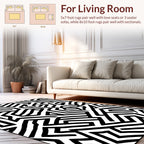 Bold Black White Geometric Lines Art Rug