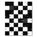 Black White Checkerboard Starburst Rug