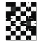 Black White Checkerboard Starburst Rug