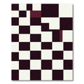 Monochromatic Checkerboard Blocks Rug
