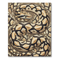 Sinuous Serpent Diamond Scale Earthy Accents Rug