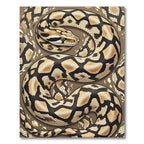 Sinuous Serpent Diamond Scale Earthy Accents Rug