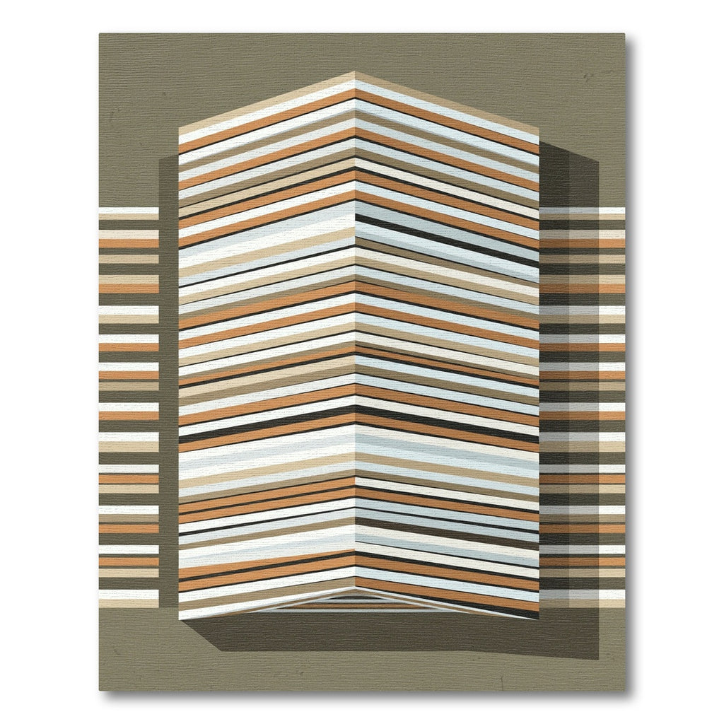 Earthy Abstract Stripe Illusion Rug