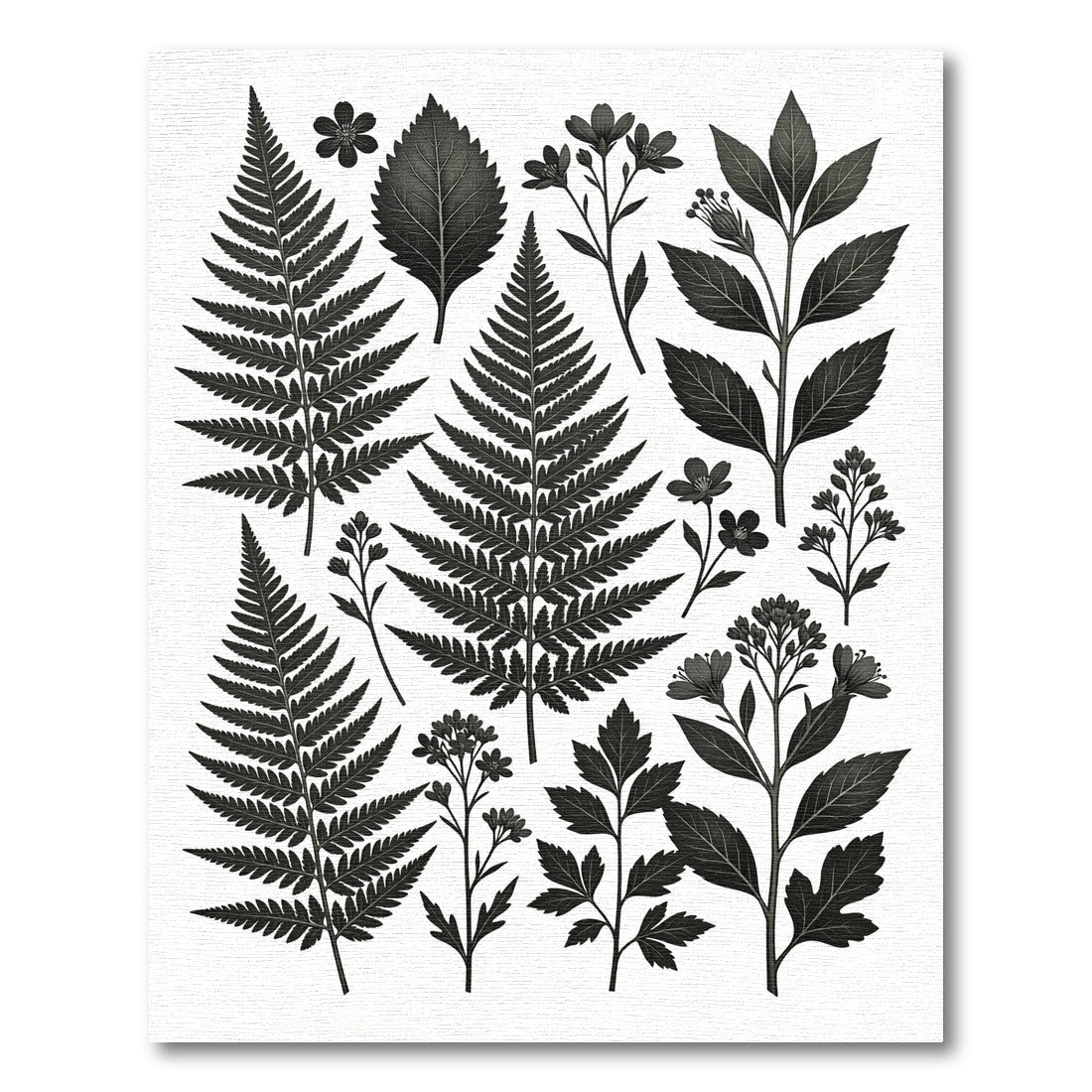 Monochrome Botanical Fern and Wildflower Illustration Rug