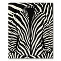 Striking Monochrome Zebra Ribbons Rug