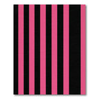 Bold Hot Pink Black Vertical Stripes Rug