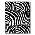 Monochromatic Zebra Stripe Abstract Rug