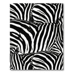 Monochromatic Zebra Stripe Abstract Rug