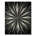 Radiant Black And White Starburst Rug