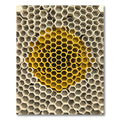 Golden Honeycomb Geometric Relief Sculpture Rug