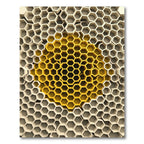 Golden Honeycomb Geometric Relief Sculpture Rug