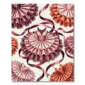 Pink Tutu Ribbon Ballet Arrangement Rug