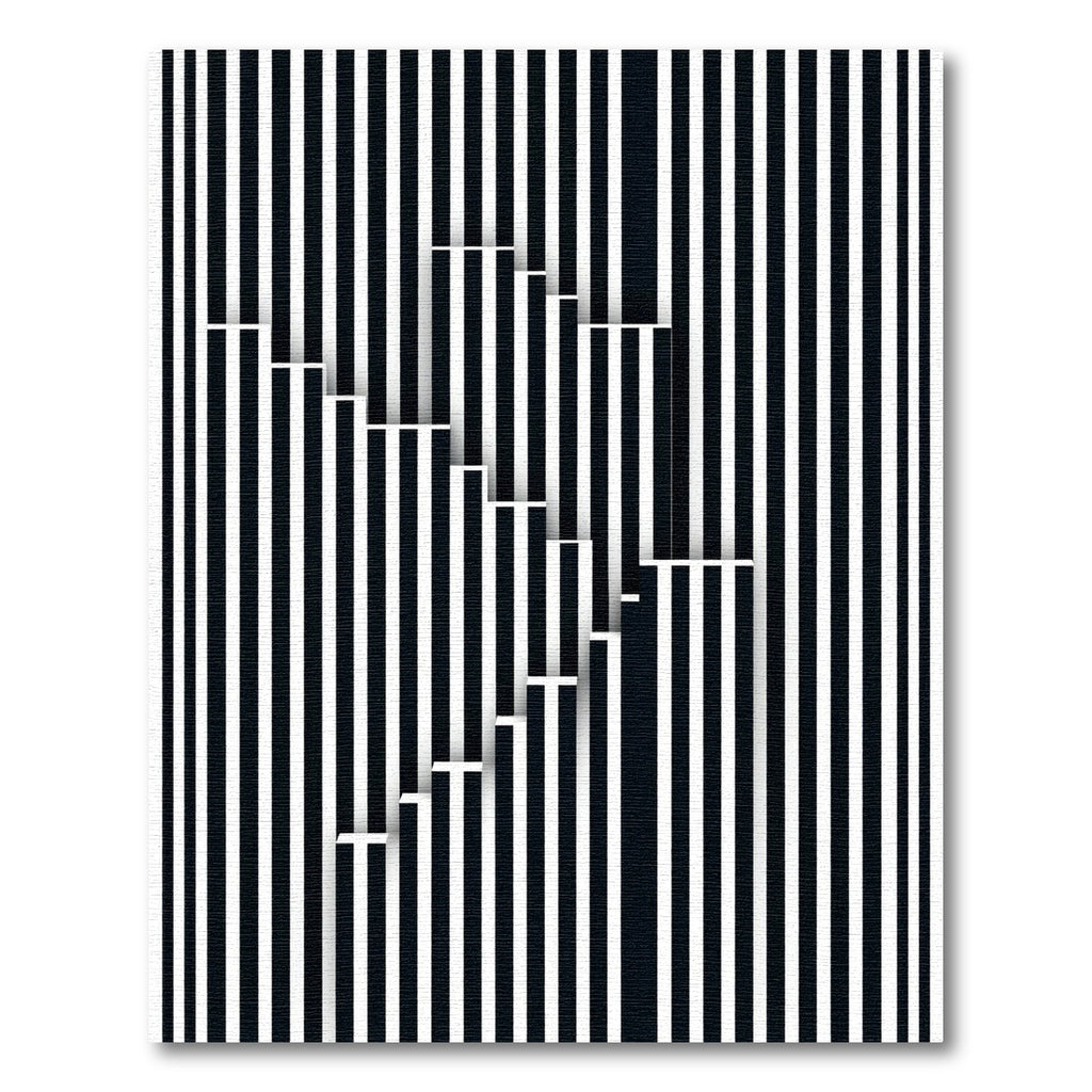 Geometric Black White Stair Illusion Rug