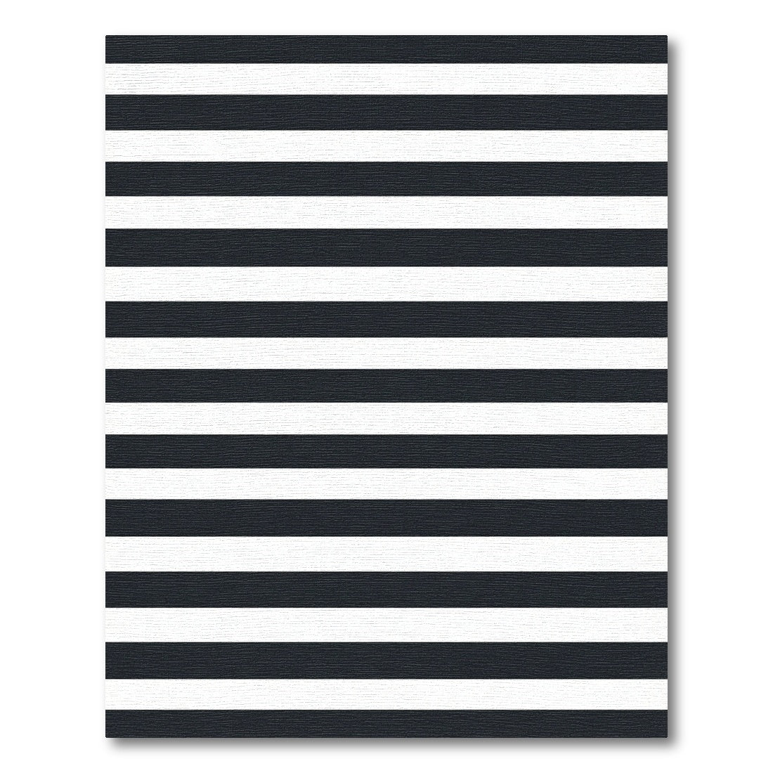 Minimalist Monochrome Horizontal Stripe Area Rug