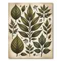 Vintage Green Leaf Botanical Composition Rug