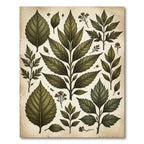 Vintage Green Leaf Botanical Composition Rug