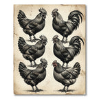 Monochromatic Rooster Farmhouse Sketch Art Rug