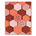 Coral Hexagons Watermelon Seeds Rug