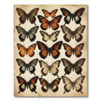 Vintage Amber Butterfly Botanical Illustration Rug