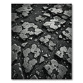 Charcoal Gray Cracked Stone Aggregate Rug