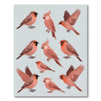 Playful Pastel Red Songbird Illustration Rug
